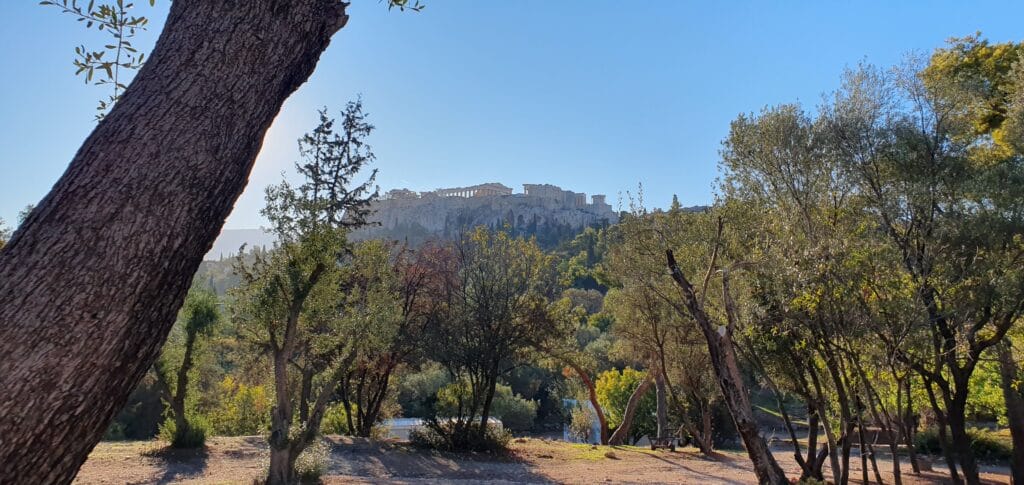Looking up to the Acropolis, ancient and mesmerising as it towers over Athens, you're surrounded by pine trees, the smell of them fills your nostrils, and the warm sun beats down on you against the chill of a late autumn morning.
